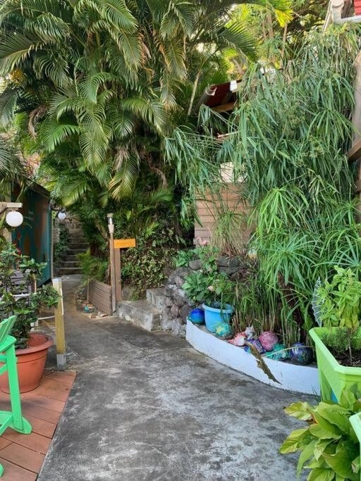 Bungalow Bananier Trois-Rivières エクステリア 写真